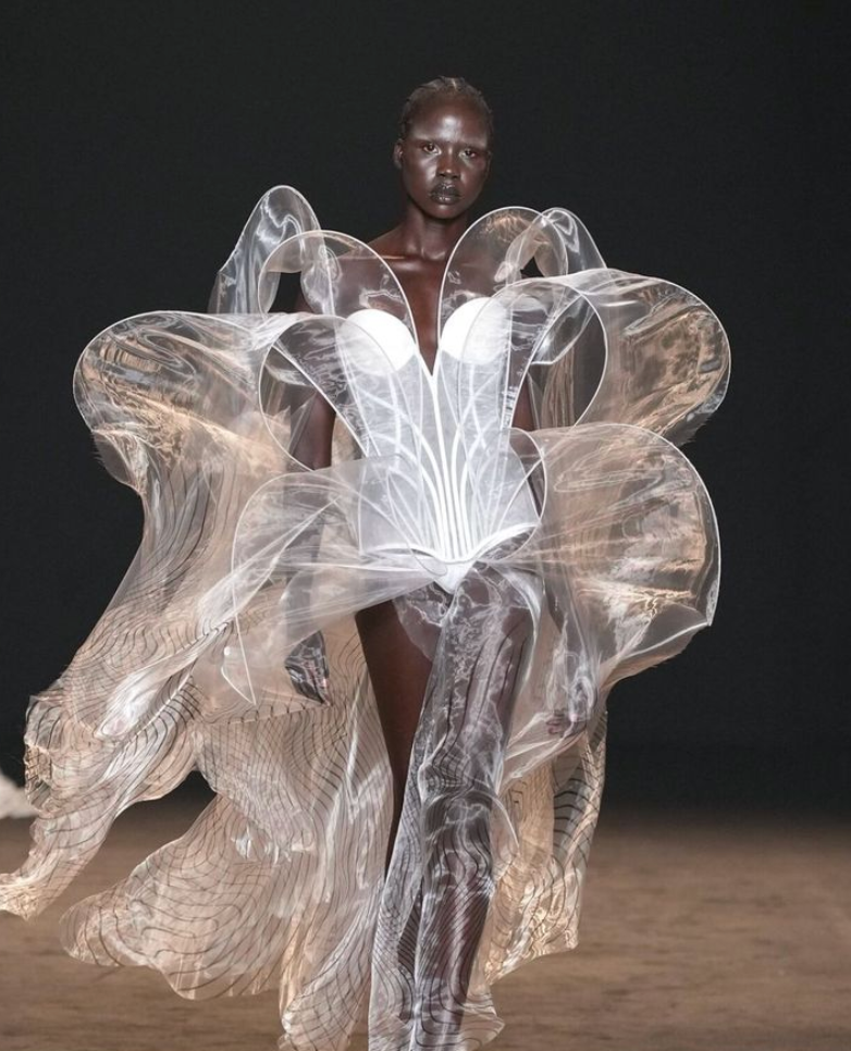 Iris van Herpen: Where Fashion Meets Art
